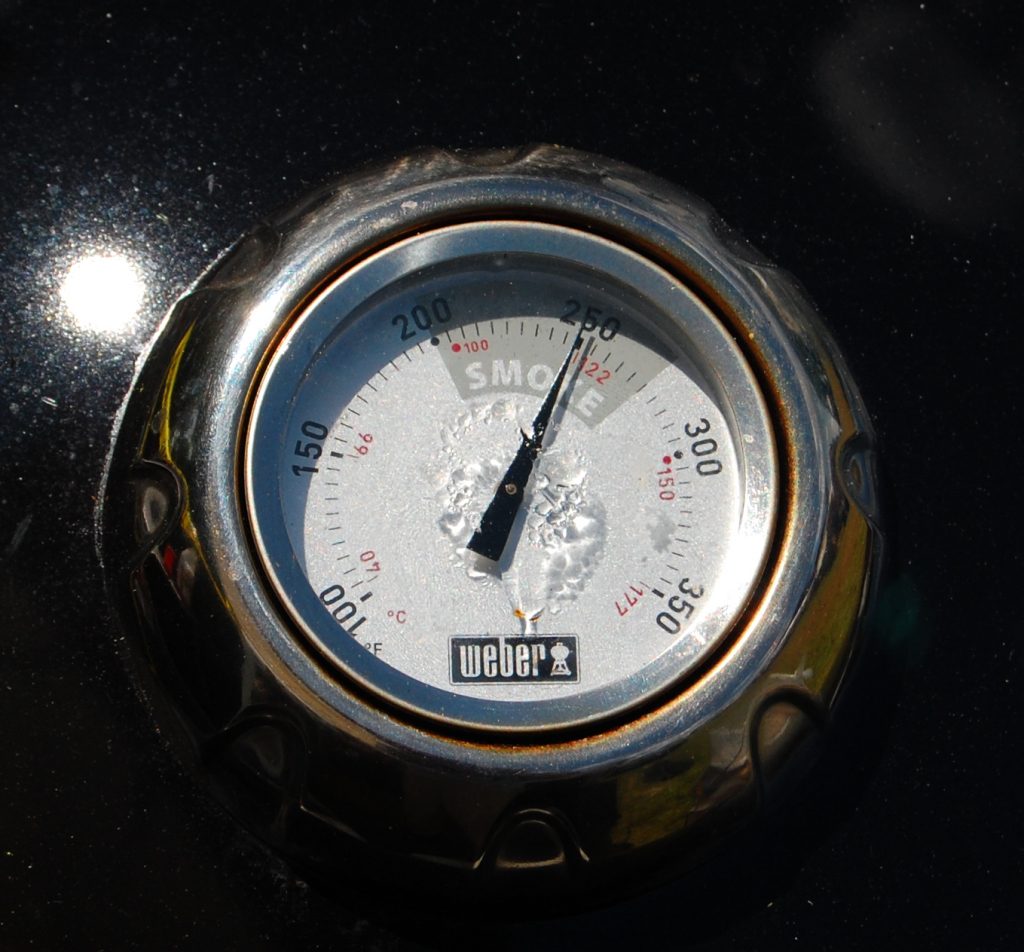 WSM_thermometer.jpg